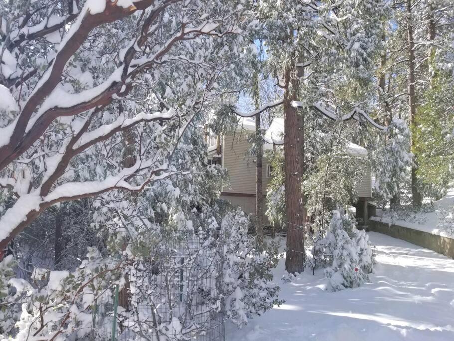 Casa De Los Arboles! Delight & Solitude Abound! Pine Cove Bagian luar foto
