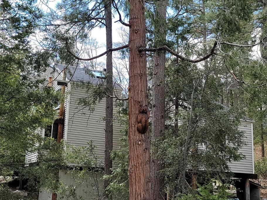 Casa De Los Arboles! Delight & Solitude Abound! Pine Cove Bagian luar foto