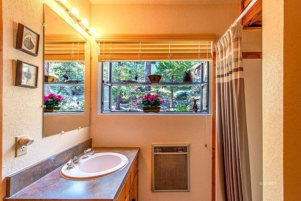 Casa De Los Arboles! Delight & Solitude Abound! Pine Cove Bagian luar foto